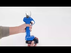 Auston AES20-3 เครื่องตัดไม้