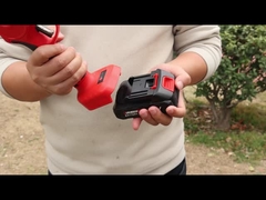 ออสตัน AES20-4 Pruner