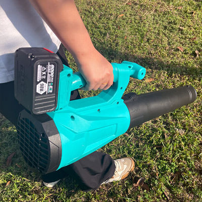 1000W Home Cordless Leaf And Snow Blower Electric Cordless Leaf Vacuum