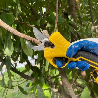 Outdoor Lithium Electric Pruning Scissors Fruit Tree Branch Battery Pruner Garden