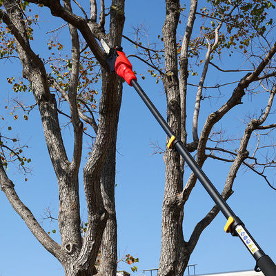 Telescopic Battery Pole Chainsaw Extendable Reach For Tree Trimming