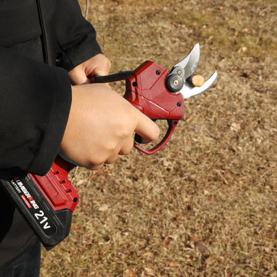 Electric High Branch Pruning Set Lithium Battery Cordless Handheld Telescopic Pole Tree Branch Pruning Shear Pruner